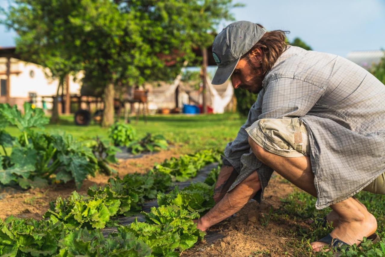סן דונטו Agriturismo Al Girasole מראה חיצוני תמונה